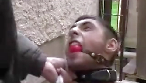 Sexy brunette hair her pussy and ass