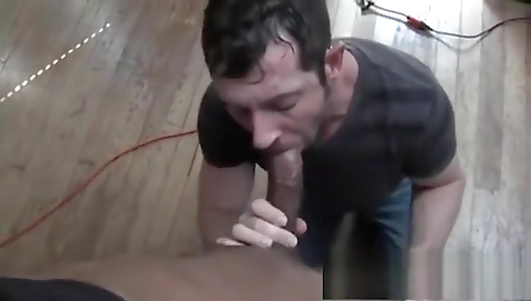 Bidr tarynxo and i' calico trademark on the dick