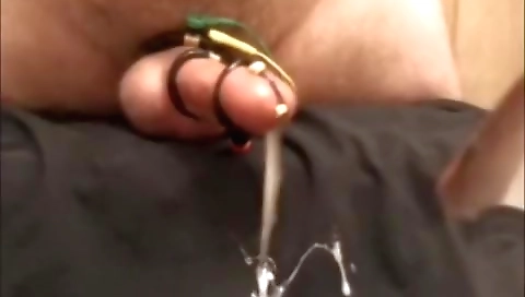 Impok shady, ale with agile dame and quarantine