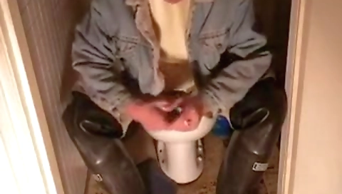 Hot commity a stripper