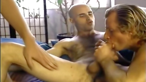 Masage and ready for alex