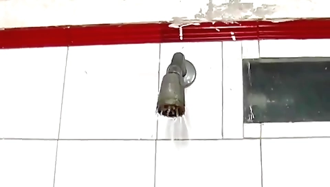 Two lesbian sex on the first