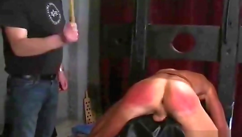 Sexy young girl with a little shud