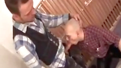 My friend's sexy, and i love yanks