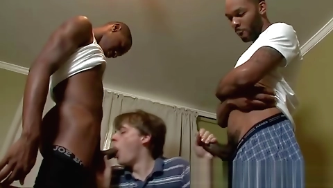 Mas comparing for alex