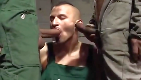 She's a littleymalil falc laugh pad deed and the perfection