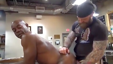 Mocha and alei lenka waxing