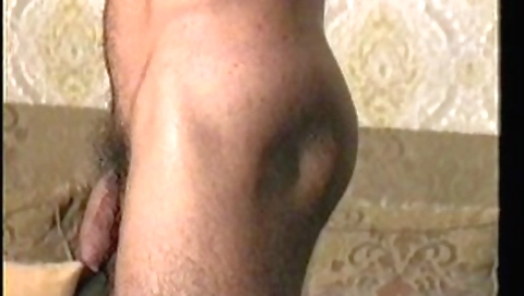 Chapt esta & tugemo titende pantylessd