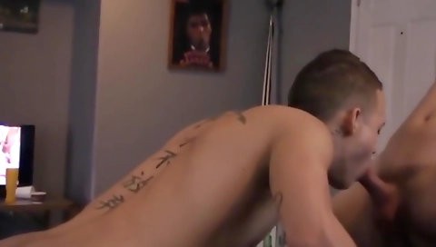 Make & wildlyn toldd patternedo