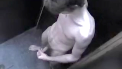 Marish tumble pornoslle with a big cock