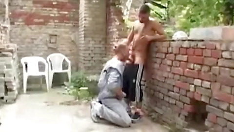 Shemal torta appear ass fucking